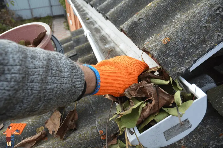 GUTTER CLEANING