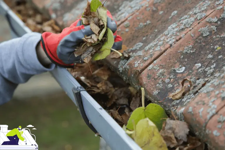 SEASONAL GUTTER CLEANING